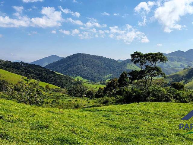 #214 - Terreno Rural para Venda em São Bento do Sapucaí - SP