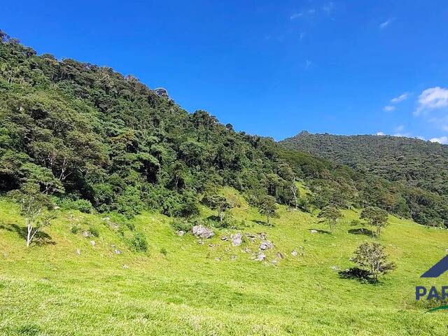 Terreno Rural para Venda em São Bento do Sapucaí - 5