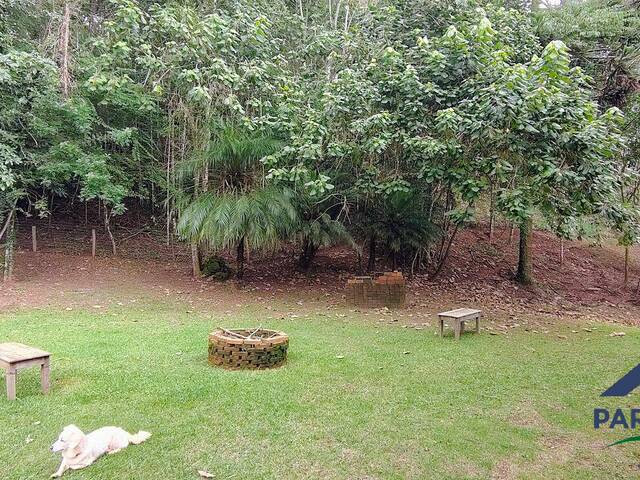 #381 - Chácara para Venda em Santo Antônio do Pinhal - SP