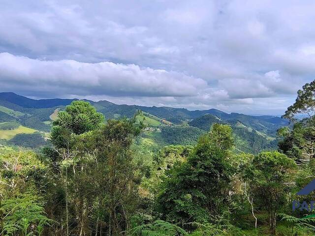#239 - Terreno Rural para Venda em Gonçalves - MG
