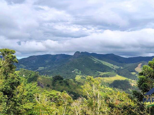 Venda em Centro - Gonçalves