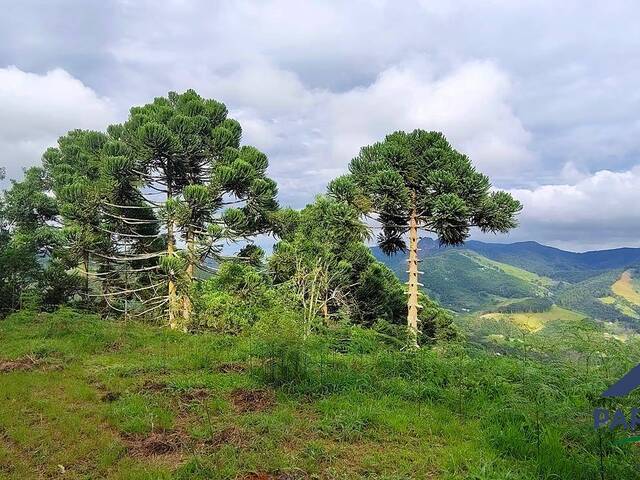 Terreno Rural para Venda em Gonçalves - 5