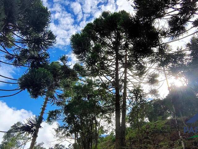 #239 - Terreno Rural para Venda em Gonçalves - MG