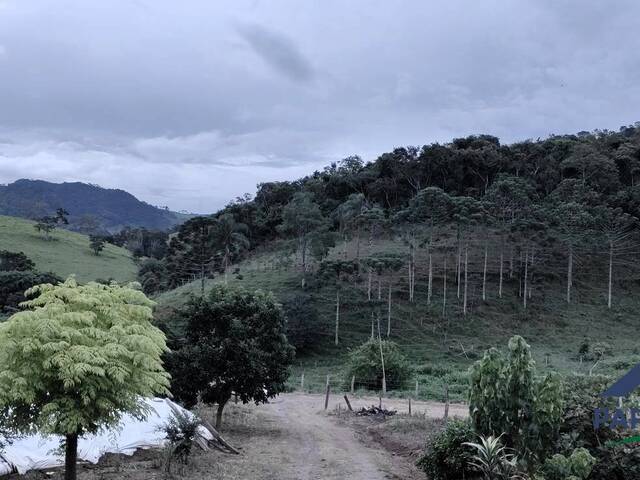#382 - Sobrado para Venda em Gonçalves - MG - 3