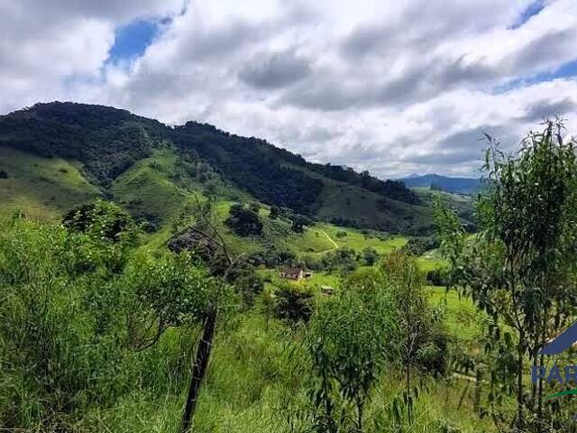 #384 - Chácara para Venda em Gonçalves - MG