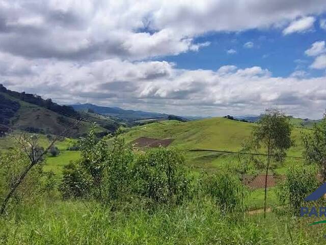#384 - Chácara para Venda em Gonçalves - MG