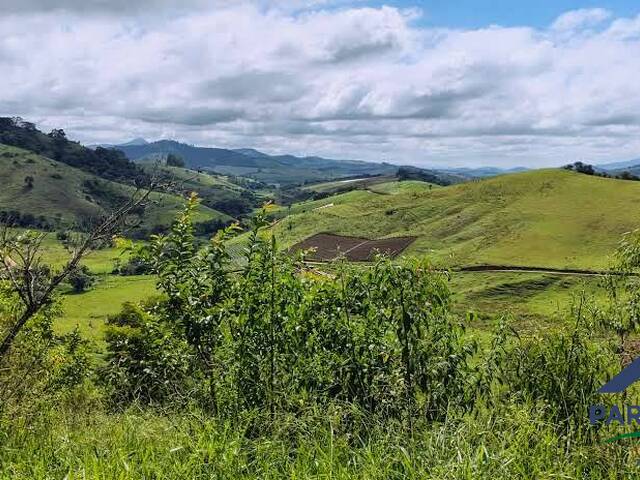 #384 - Chácara para Venda em Consolação - MG - 3