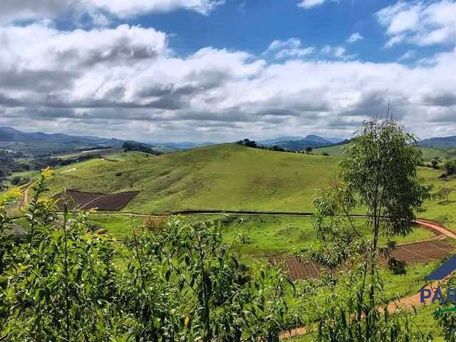 #384 - Chácara para Venda em Consolação - MG - 2