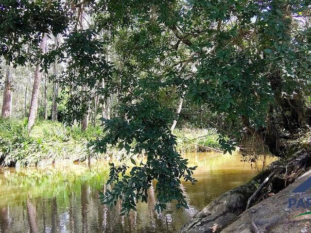 #385 - Terreno Rural para Venda em Gonçalves - MG