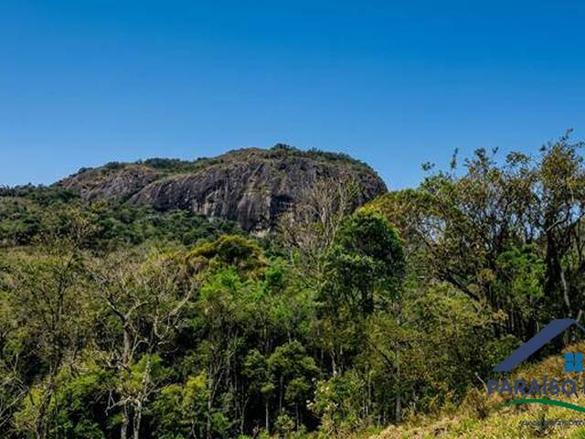 #313 - Fazenda para Venda em Sapucaí-Mirim - MG