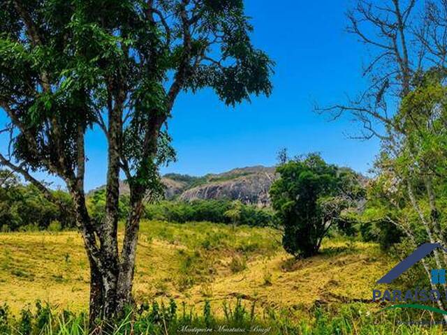#313 - Fazenda para Venda em Sapucaí-Mirim - MG