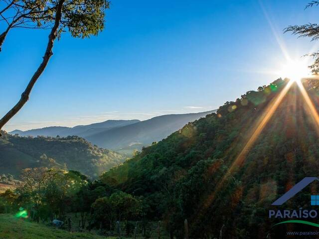 #313 - Fazenda para Venda em Sapucaí-Mirim - MG