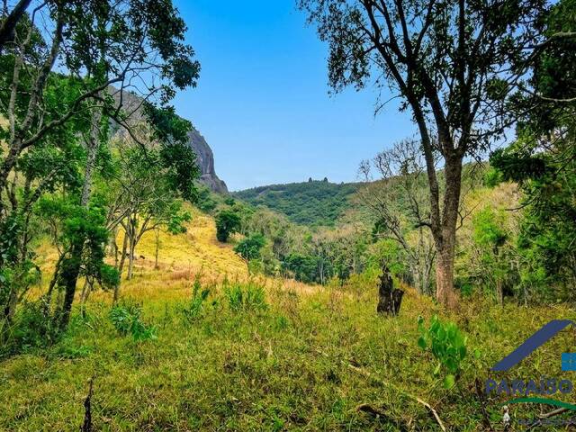 Terreno Rural para Venda em Sapucaí-Mirim - 5