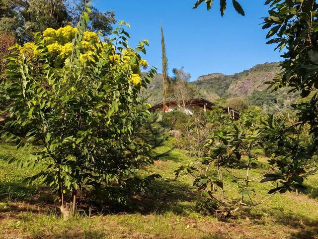 Chácara para Venda em Córrego do Bom Jesus - 4