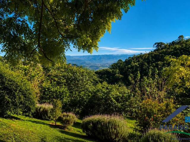 Chácara para Venda em Córrego do Bom Jesus - 5