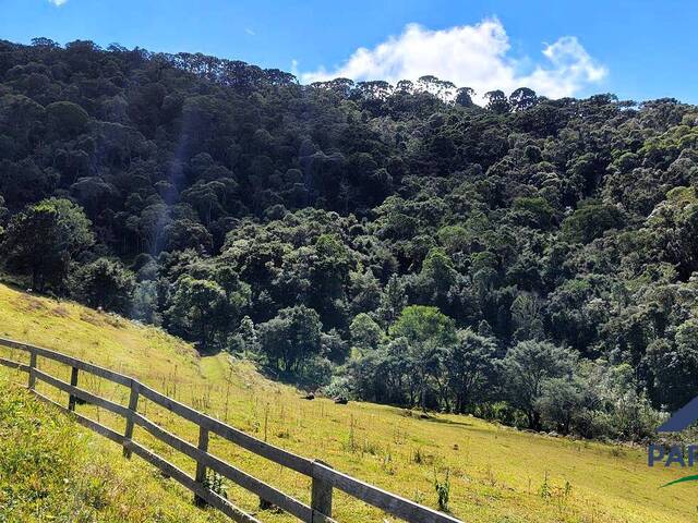 Chácara para Venda em Gonçalves - 5