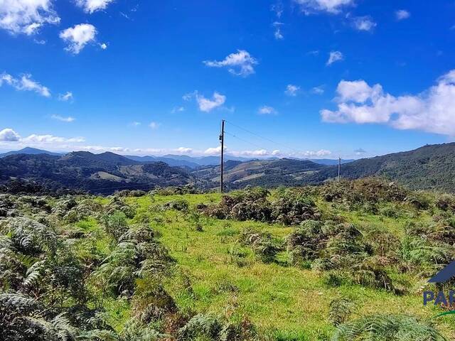 Chácara para Venda em Gonçalves - 3