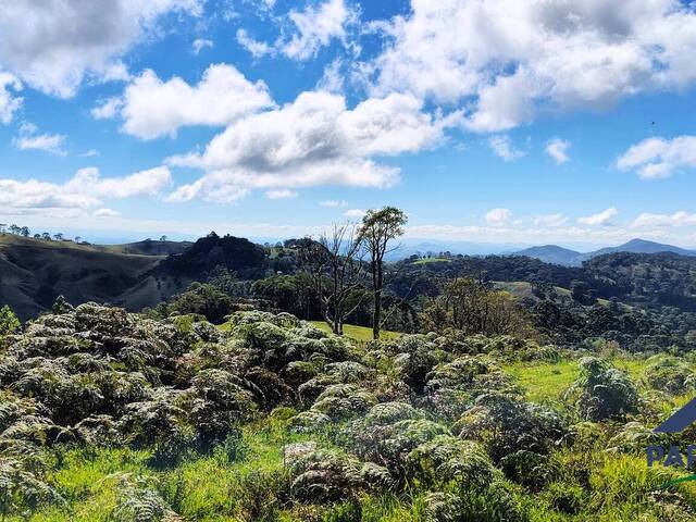 Chácara para Venda em Gonçalves - 5