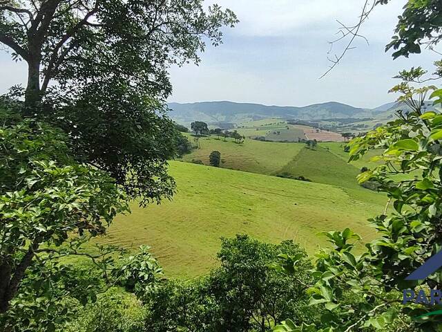 Terreno Rural para Venda em Paraisópolis - 4