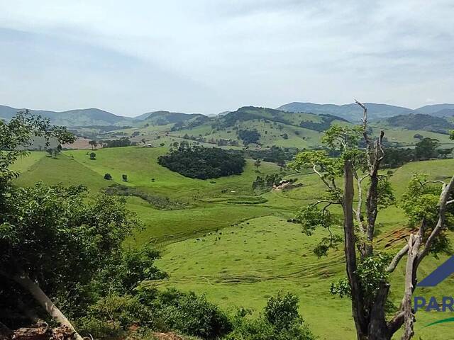#407 - Terreno Rural para Venda em Paraisópolis - MG - 1