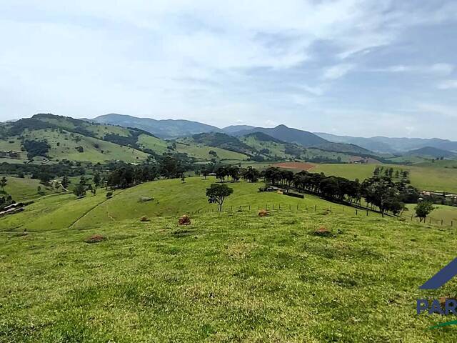 #407 - Terreno Rural para Venda em Paraisópolis - MG - 3