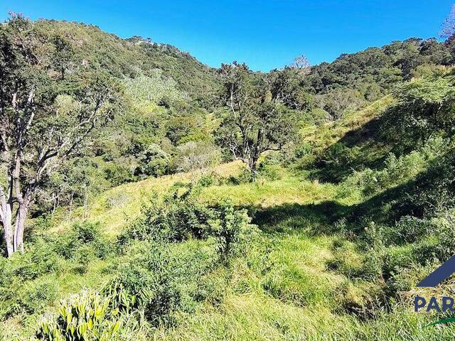 Terreno Rural para Venda em Gonçalves - 4