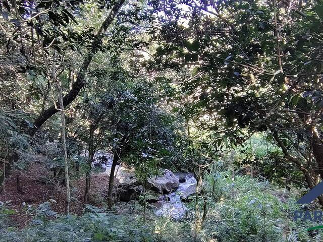 Chácara para Venda em Paraisópolis - 4