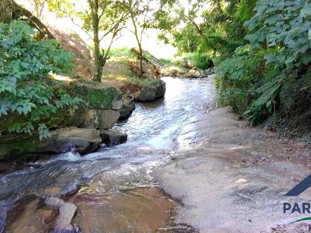 Venda em Centro - Paraisópolis