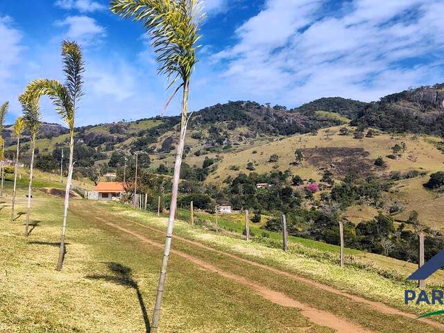 #413 - Chácara para Venda em Paraisópolis - MG - 3