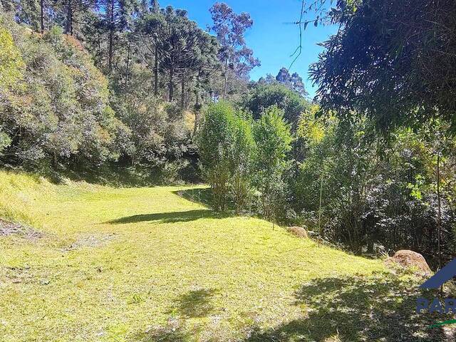 Pousada para Venda em Gonçalves - 2