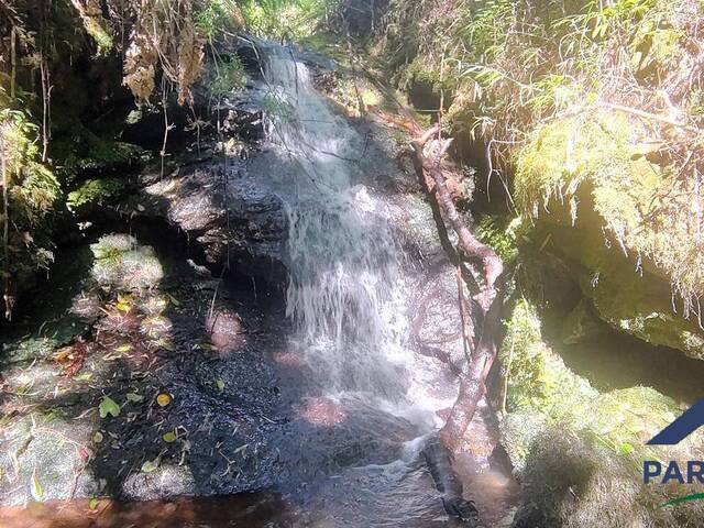 Pousada para Venda em Gonçalves - 5