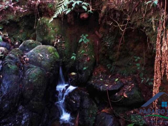 #019 - Terreno Rural para Venda em Gonçalves - MG