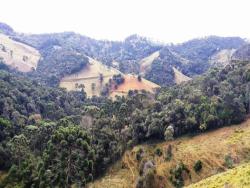 #019 - Terreno Rural para Venda em Gonçalves - MG - 1
