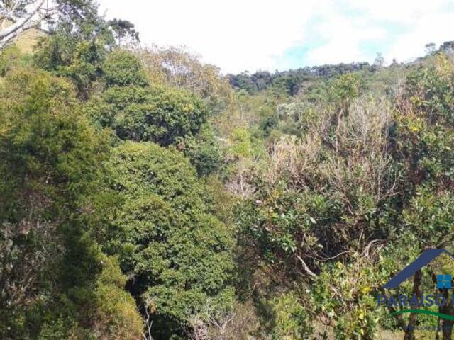 Terreno Rural para Venda em Gonçalves - 4