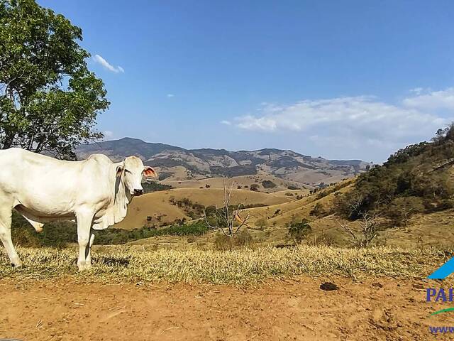 #136 - Terreno Rural para Venda em Consolação - MG - 3